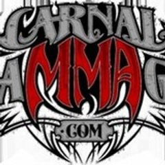 themmastore
