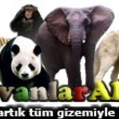 HAYVANLAR ALEMİ