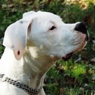 Elevage La Plaine d'Orion