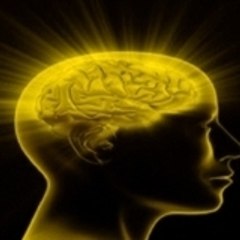 aynaveinsan.com