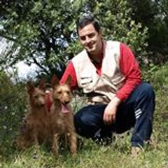 Podencos Rayo