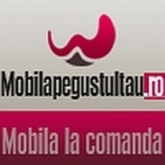 Mobila bucatarie