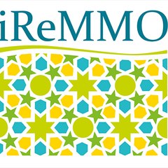 iReMMO