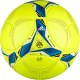 thibaultray1069
