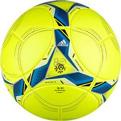 thibaultray1069