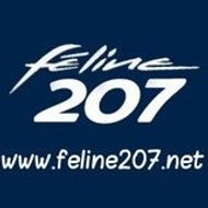 Féline 207