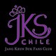 Jang Keun Suk Chile