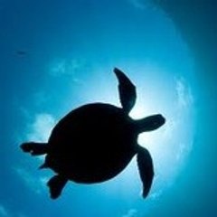 Traveling-Books-Reviews