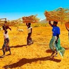 AgendaHumanitaire