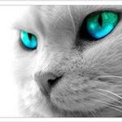 Talia