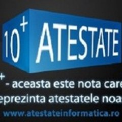 atestateinformatica