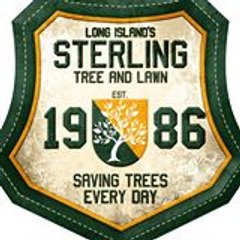 Sterling Churgin