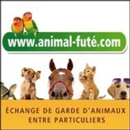Animal Futé