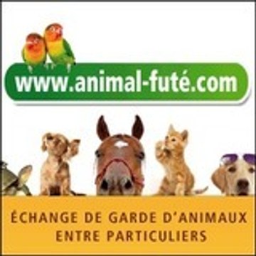 Animal Futé