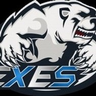 eXeSeSpport
