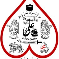 Wilayat-E-Ali Network