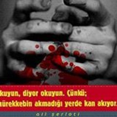 Serkan Ergin