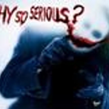 daily videos