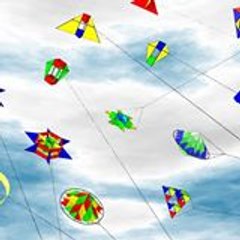 Adrenalin Head Skyriders