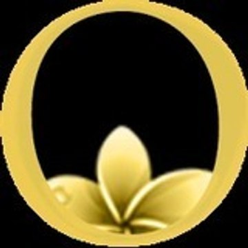 Black Lotus Casino