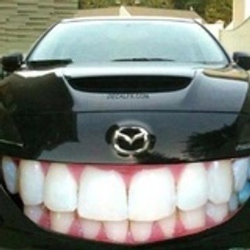 Thomas Barton DDS