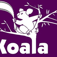 Studio Koala
