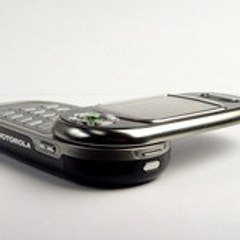 alex13000
