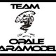 team opale paramodels lille