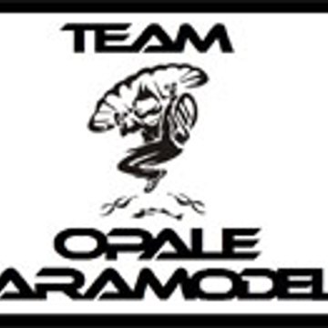 team opale paramodels lille