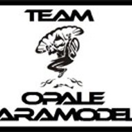 team opale paramodels lille