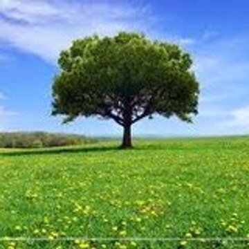 Outdoors-Audio-Book