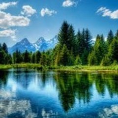 Outdoors-Books-Summary