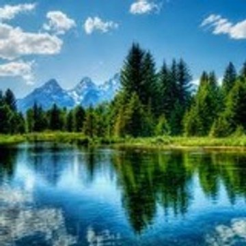 Outdoors-Books-Summary