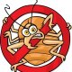 Northeastern Exterminating