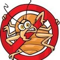 Northeastern Exterminating