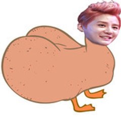 MyWingsFTI