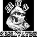 SeSLiiVaYBeeeeee