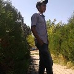 261ferhat