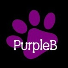 purpleb