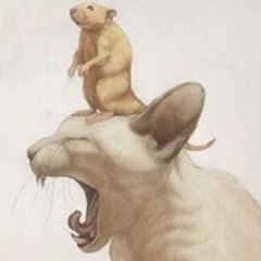 ratoncat