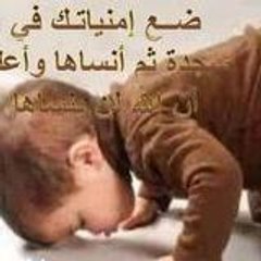 محمد ابراهيم بن