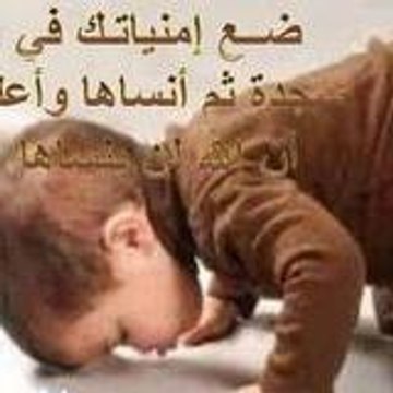 محمد ابراهيم بن