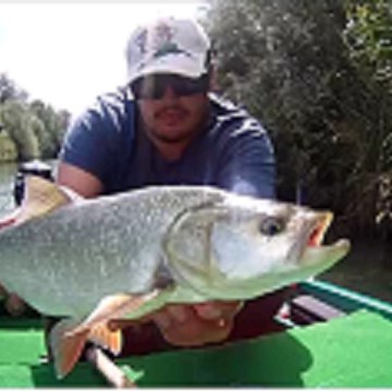 hoogen68