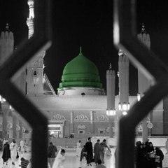 Zayd Bin Umar