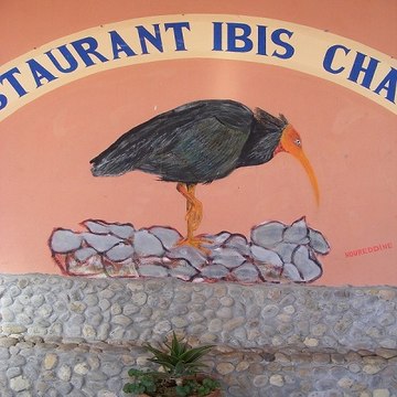 philapatou