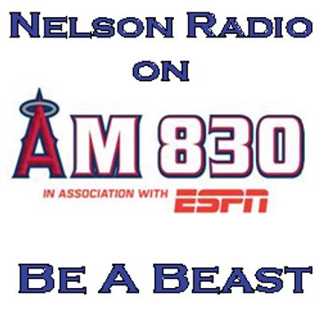 Nelson Radio