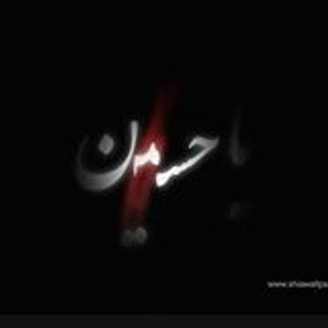 Syed Aon Abbas Naqvi