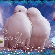 ღ.♥ŚĂĔĔĎ βĂŚĤĨŔ♥.ღ