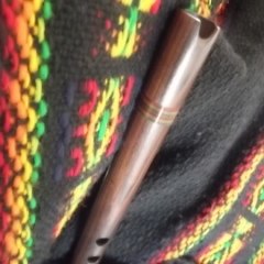 celiamusic