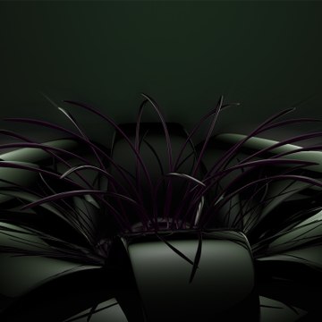 HQbestclassical